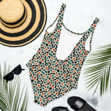 Alpine Koala One-Piece Swimsuit