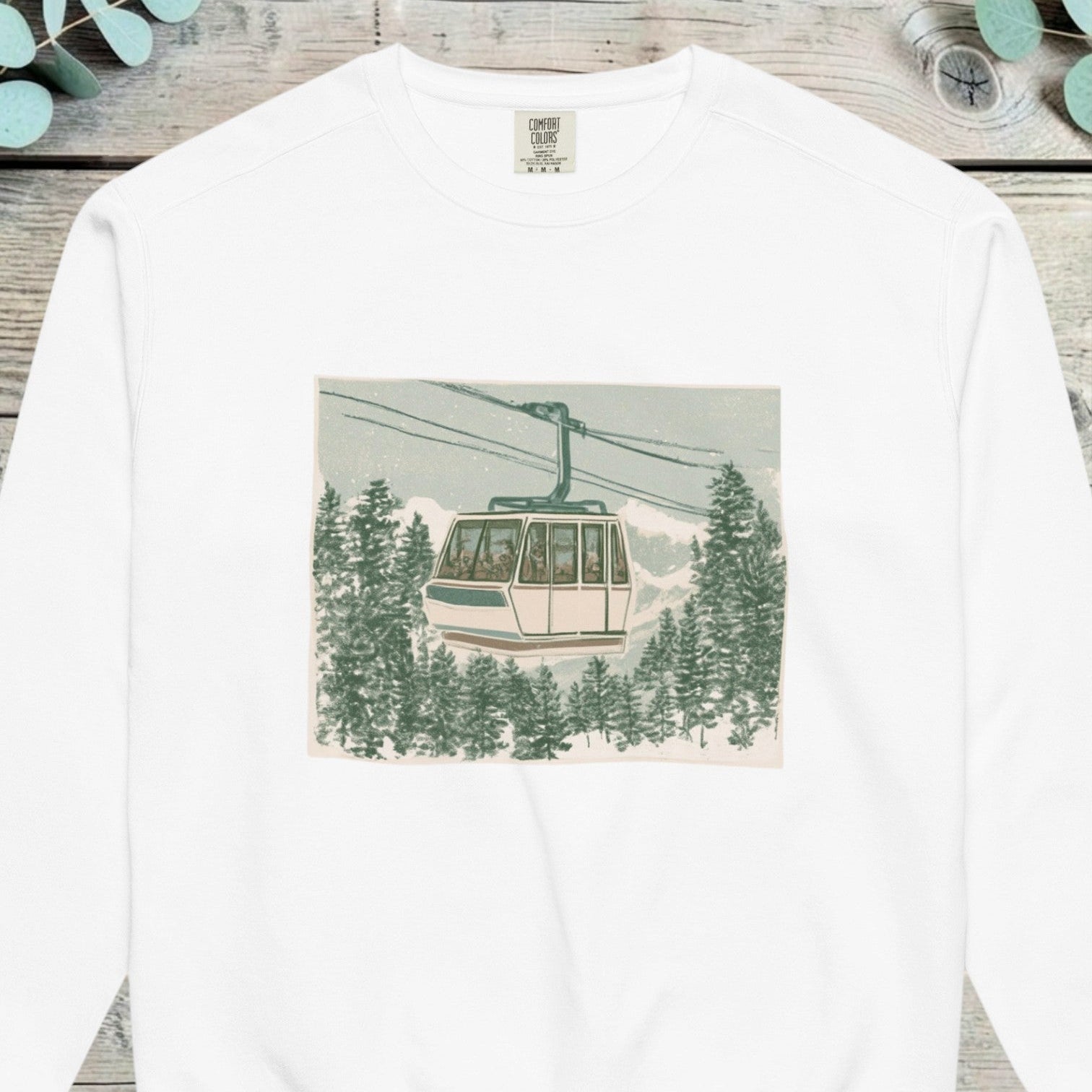 Gondola car passing above a snowy pine forest inside a soft square frame