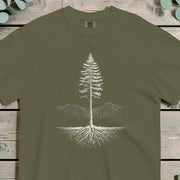Pine tree shown above and below ground with roots mirroring the canopy symmetrically