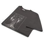 Redwood tree and roots design on a Graphite garment-dyed cotton t-shirt