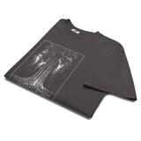 Redwood tree and roots design on a Graphite garment-dyed cotton t-shirt