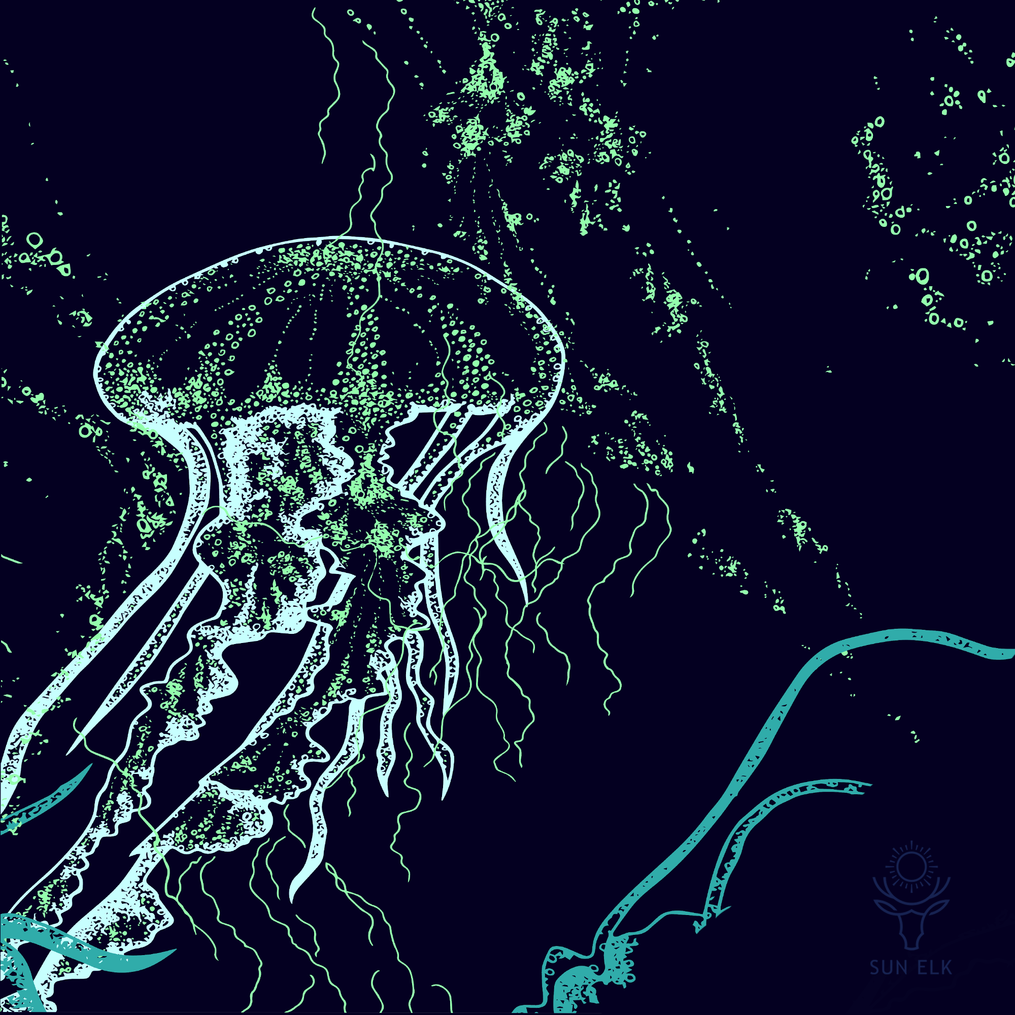 Wild Jellyfish Men's Eco Friendly Swim Trunks
