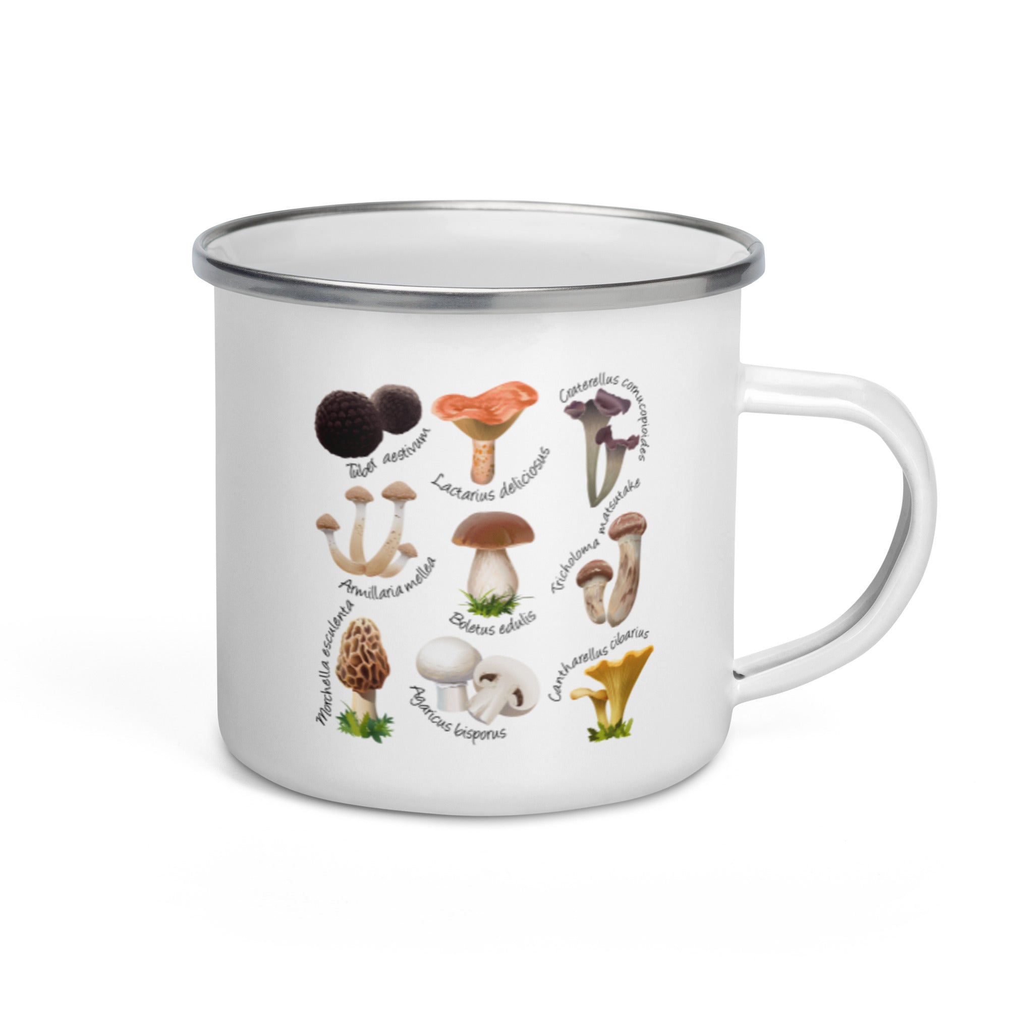 Mushrooms & Fungi Camping Mug, 12oz