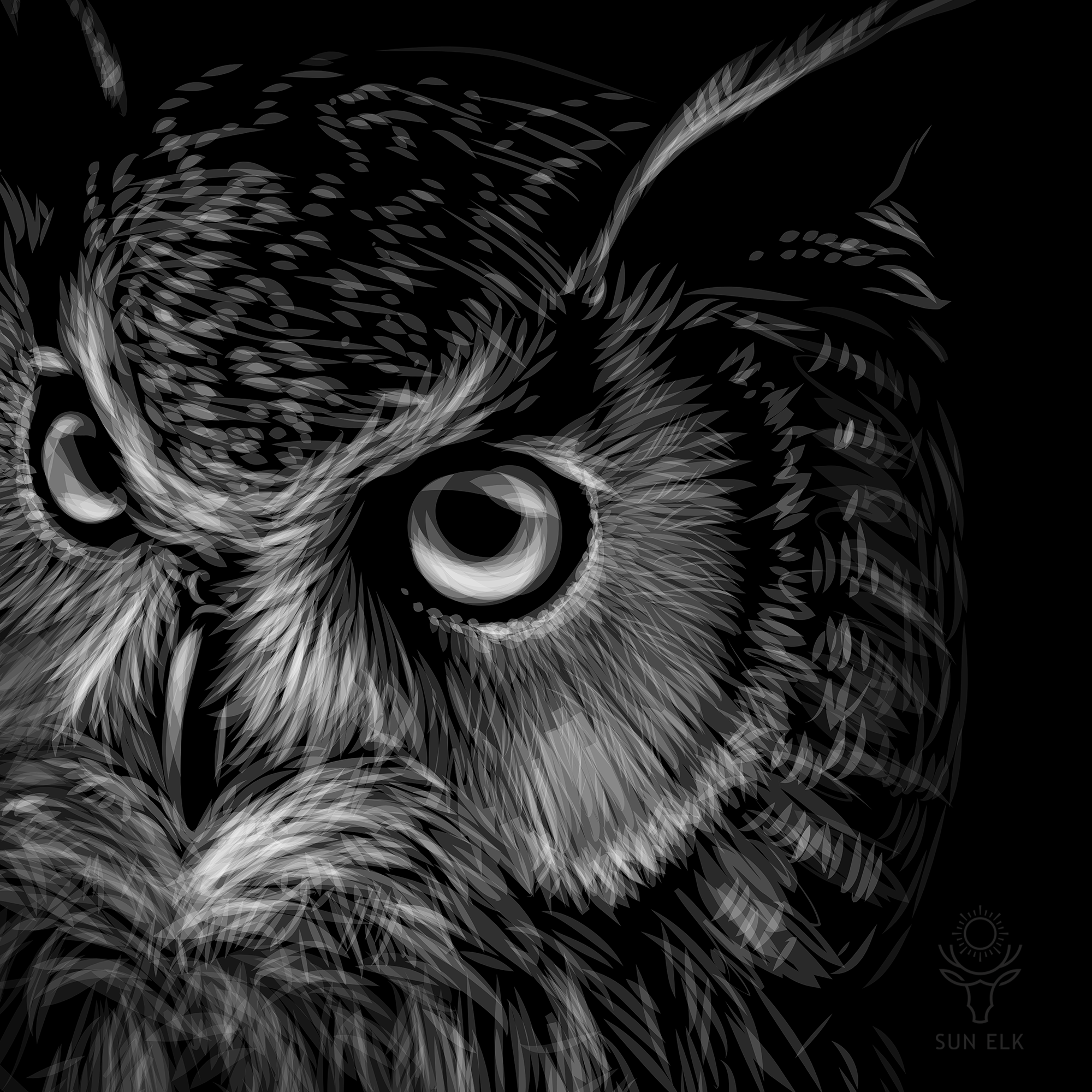 Long-Eared Owl Softstyle T-Shirt