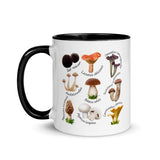 Mushrooms & Fungi Colored Coffee Mugs, 11oz