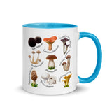 Mushrooms & Fungi Colored Coffee Mugs, 11oz