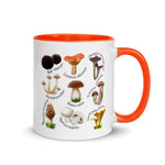 Mushrooms & Fungi Colored Coffee Mugs, 11oz